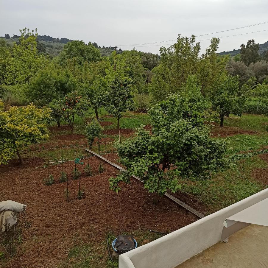 Εξοχική Κατοικία - Cottage Τίνα Líri Eksteriør billede